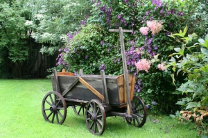 Leiterwagen im Garten