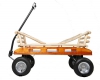 Mountain Boy Butterfly Wagen - 1