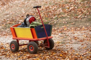 Bollerwagen steht am Wegesrand